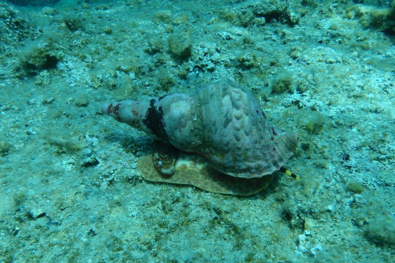 Chania: Sea Scooter Snorkling båttur