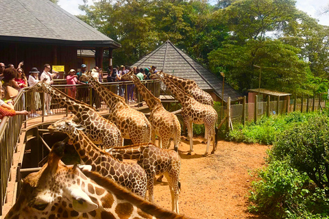 Nairobi Park, olifantenopvangcentrum en giraffencentrum tourZonder toegangsbewijs