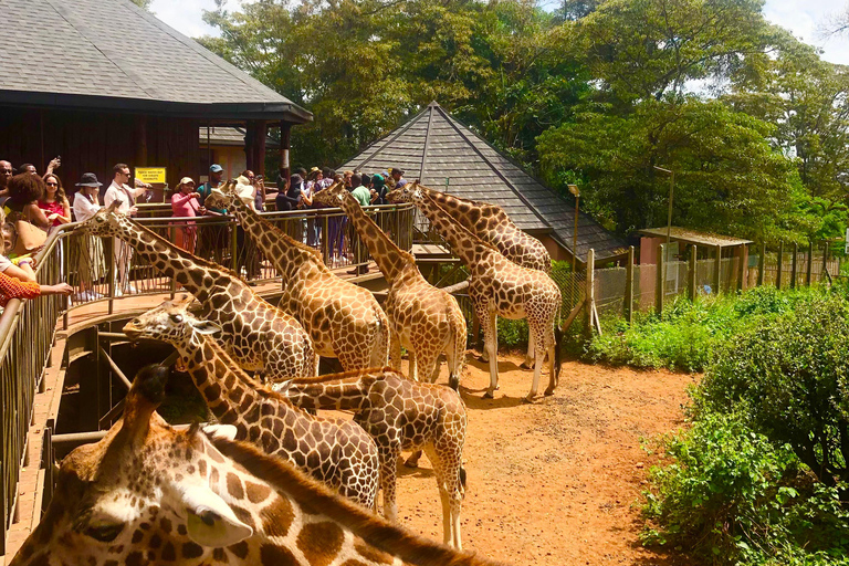 Nairobi Park, olifantenopvangcentrum en giraffencentrum tourZonder toegangsbewijs