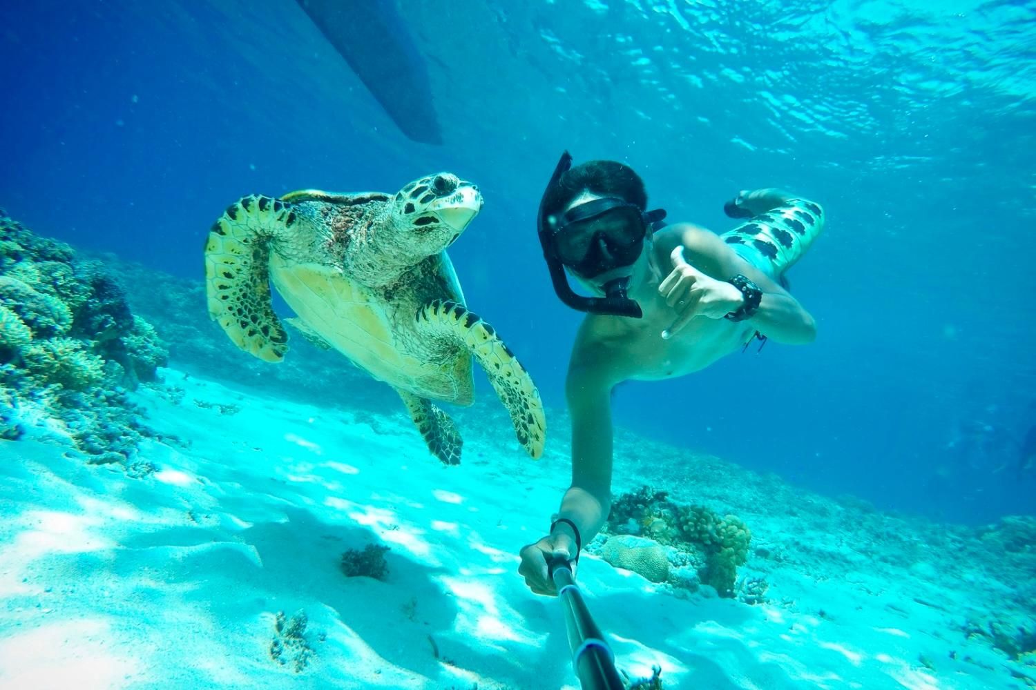 Lombok: Privates Schnorcheln, Gili Trawangan, Gili Meno, Gili Air