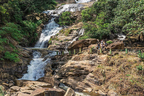 Sri Lanka:Excursão de 6 dias a Kandy, Nuwara Eliya, Bentota e Colombo