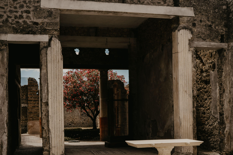 Vanuit Rome: Een dagtrip naar de ruïnes van Pompeii met de hogesnelheidstreinPompeii: Spaanse wandeltour