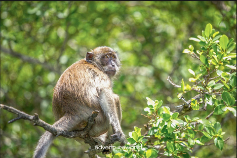 Phi Phi Island Overnight Package 2jours,1nuit et activités