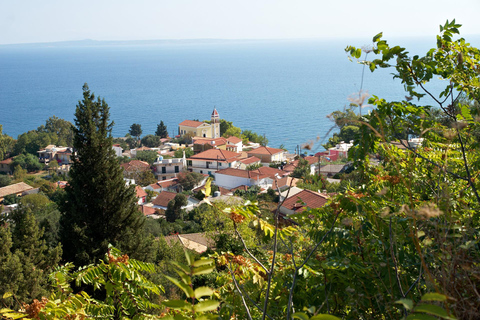 Half‑Day Private Olive Oil & Wine Experience in Zakynthos