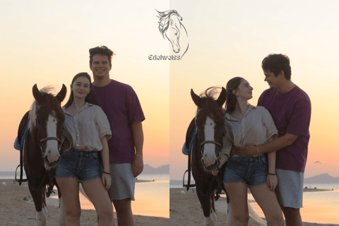 Sharm El shiekh Beach & Desert Horse Riding Tour 2-Hour Beach & Desert Horse Riding Tour