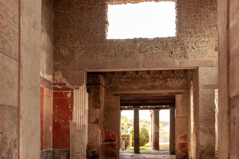 Excursão particular a Pompeia e Sorrento saindo de Roma