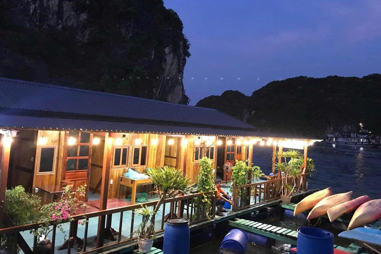 CAT BA :2D1N Lan Ha-bukten-Ha Long-bukten med planktonutflykt