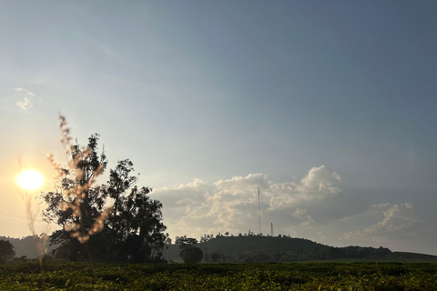 Kajansi: Hike Kiwamirembe Hill and Pilgrimage Tour