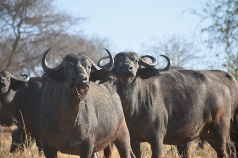 7 Dagen Comfort middenklasse Safari 3 Nachten Serengeti