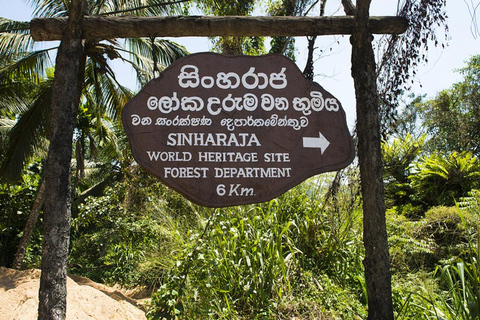 Sinharaja-Regenwald (UNESCO) &amp; Öko-Tour (3 Tage) mit HotelSinharaja-Regenwald (UNESCO) &amp; Öko-Tour (3 Tage) mit Hotel