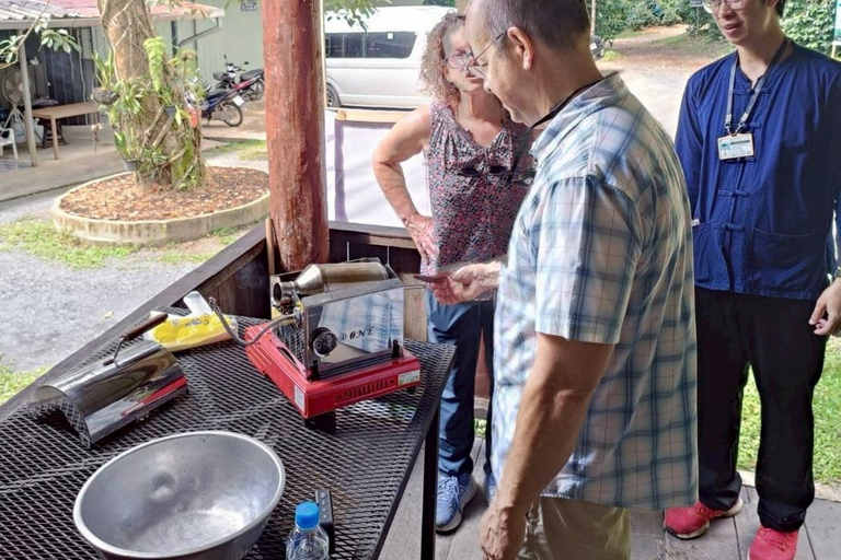 Chiang Mai: Thepsadet Village Coffee Tour with Transfer