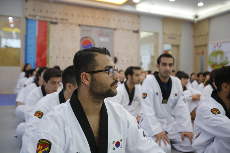 Busan: 1 Hour Taekwondo Experience with Master