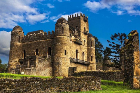 Ethiopia: 5-Day Ultimate Safari Expedition Guided Tour