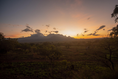 From Kampala: 3-Day Pian Upe Conservation Reserve Safari