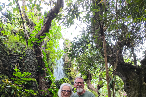 Chiang Mai: Pro Private Driver Service with Custom Itinerary