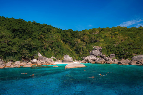 From Khao Lak: Similan Islands Snorkeling Trip with Lunch