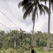 Ubud: Private Balinese Village & Zipline Adventure Ubud: Private Balinese Village & Zipline Adventure