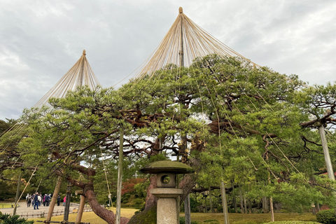 Kanazawa: Półdniowa prywatna wycieczka - ogród, zamek, gejsze