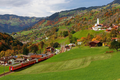 UNESCO Rhaetian Railway: Viaduct, Train Museum, St. Moritz Group of 8 Excluding Train Tickets