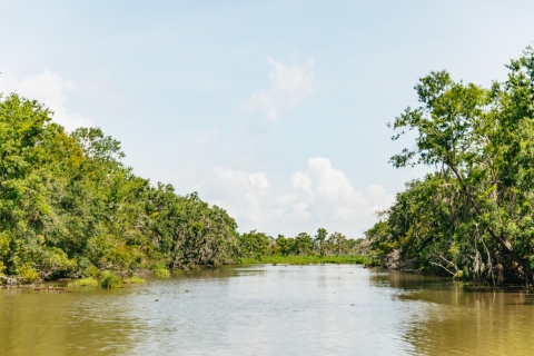 La Nouvelle-Orléans : excursion en bateau dans les marais
