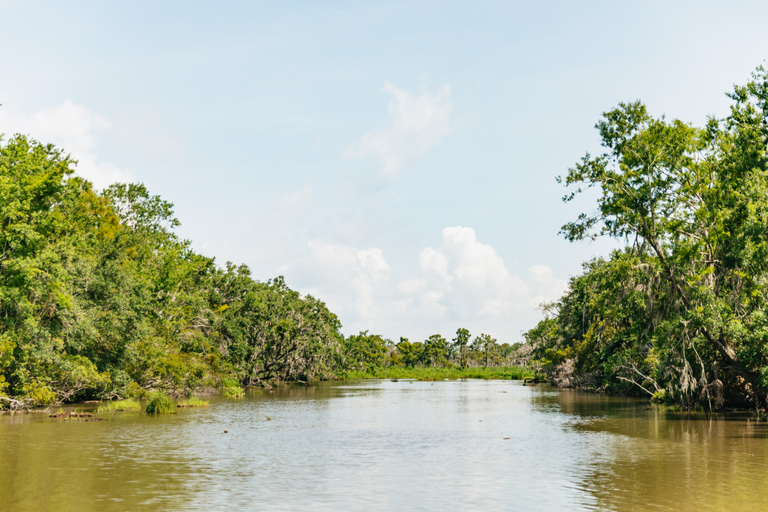 New Orleans: Tour in barca della Palude e del Bayou con trasporto