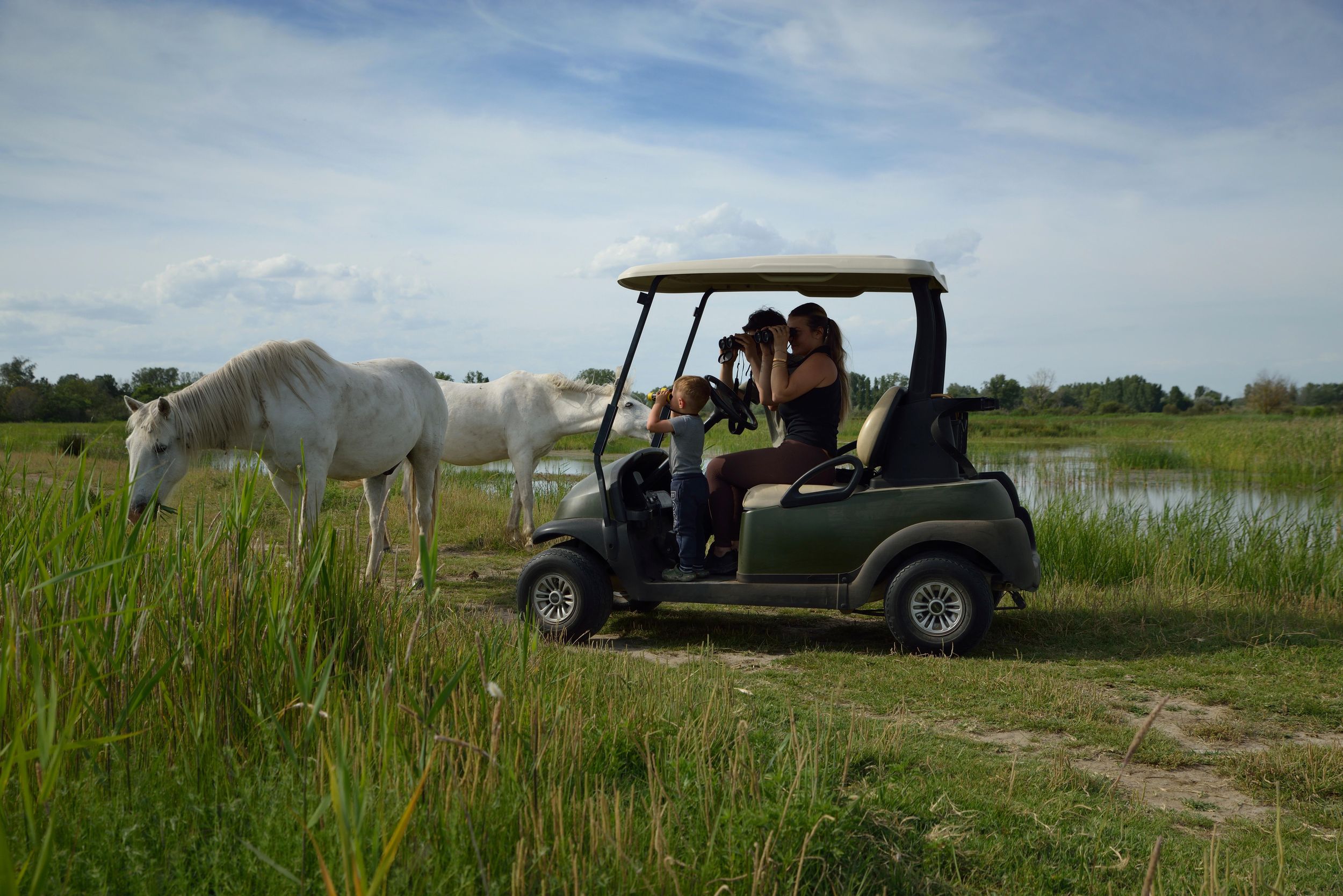Camargue: Entdecken Sie Pferde und Wildvögel mit dem Elektro-Golfcart