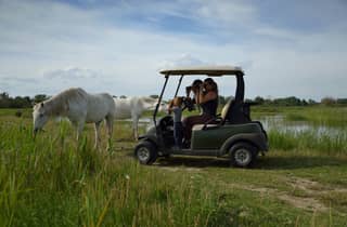 Camargue: Entdecken Sie Pferde und Wildvögel mit dem Elektro-Golfcart