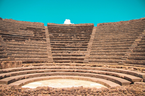 Pompei Guided Tour in Shared Formula Pompei Guided Tour (Sharing Formula- No Ticket Included)