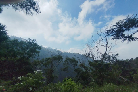 Yogyakarta: Mount Merapi Tour with (Lava Sightseeing) Merapi Volcano Lava Sightseeing (Hiking)