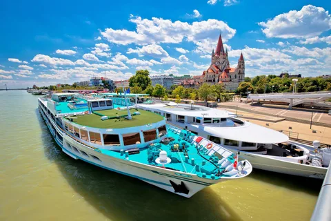 Croisière sur le fleuve Vienne, visite à pied de la cathédrale Saint-Étienne