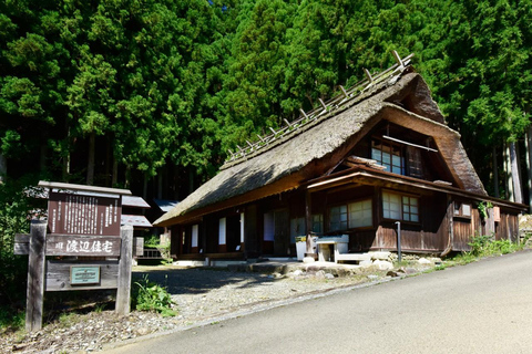 Tokyo: Mt Fuji&Chureito Pagoda&Lake Kawaguchi&Oshino Hakkai Free Karaage Chicken Set | 8AM Tokyo Station Departure