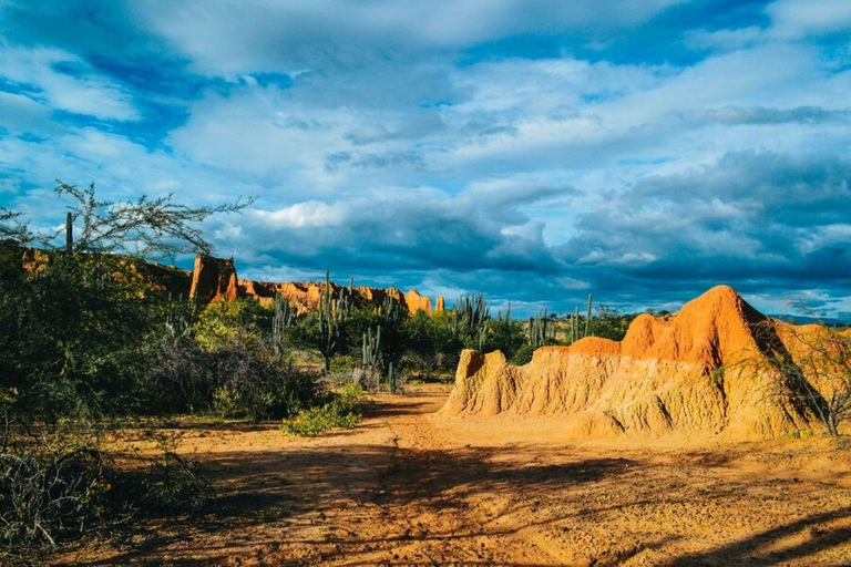 5 dagars safari i Tsavo East/West och Saltlick Lodge