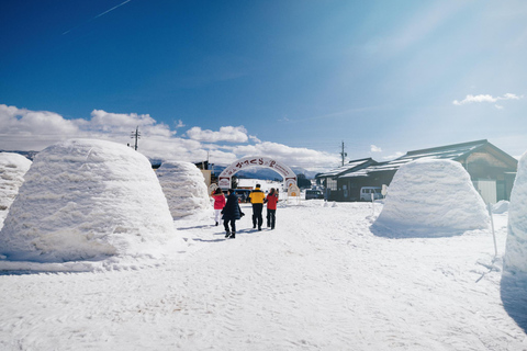 Nagano: Zenko-ji Temple, Snow Village & Monkey Park Tour
