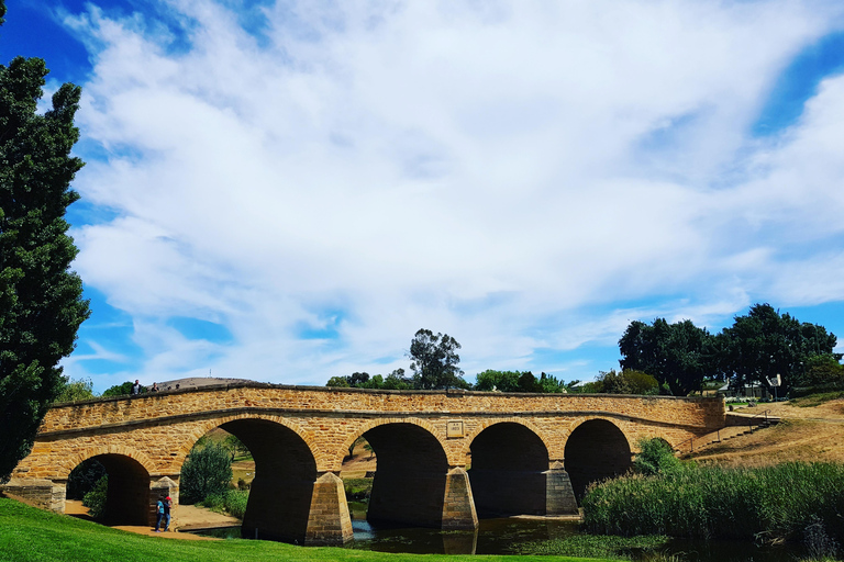 Tour della Tasmania di 9 giorni in cerchio