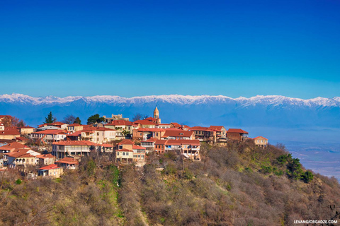 جولة جورجيا لمدة 7 أيام مع النبيذ والجبال والوديان والوجبات