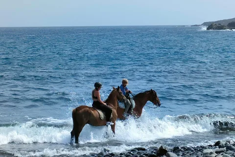 Tenerife Sur: Paseo Privado a Caballo hasta la Costa