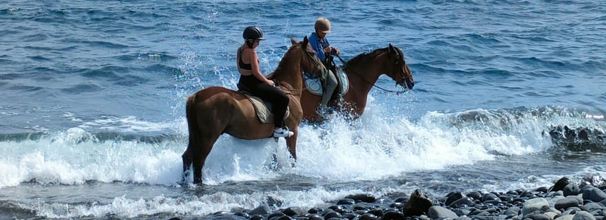 Tenerife Sud : Randonnée à cheval privée vers la côte