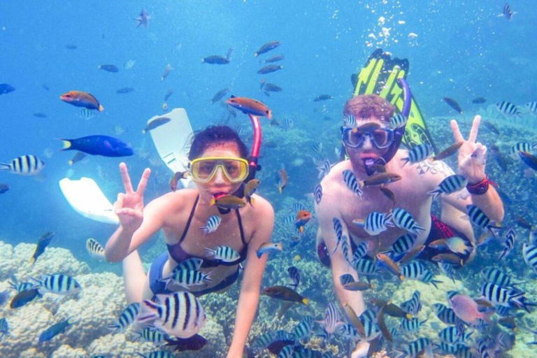 Zanzibar: Kiwengwa Reef Snorkeling, Sailing & Starfish Tour Zanzibar: Kiwengwa Reefs Snorkeling, Sailing & Starfish Tour
