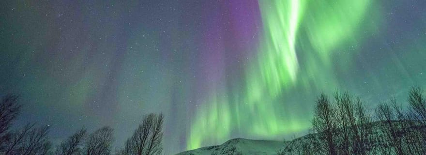 Tromsø : excursion pour observer les aurores boréales en minibus vitré avec dîner