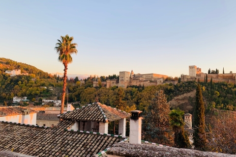 Granada: Alhambra y Palacios Nazaríes Visita Guiada y EntradasVisita en grupo en español