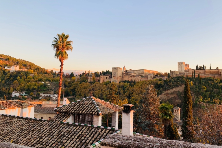 Grenade : Visite guidée de l'Alhambra et des palais Nasrides et billetsVisite de groupe en espagnol
