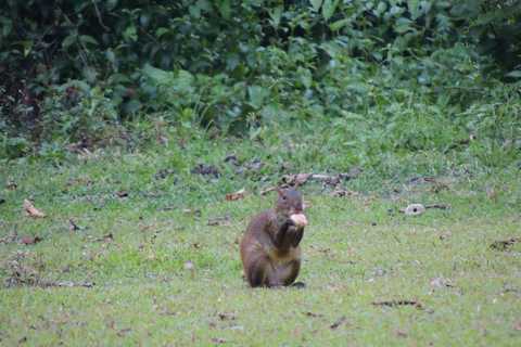 La Gamba: Nationalpark Piedras Blancas