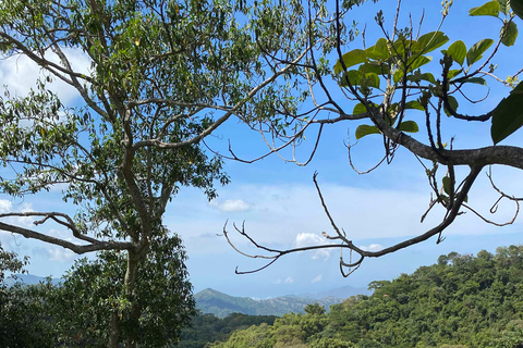 Minca: Tour en Finca de Café y caminada a hermosa cascada