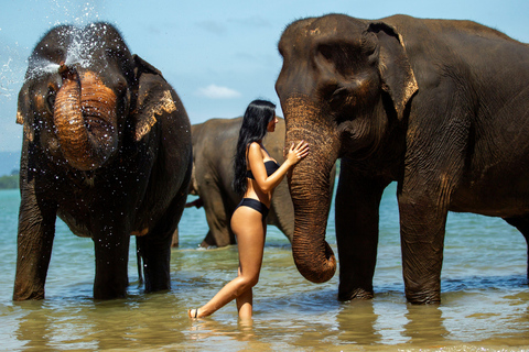 Phuket: Half‑Day Elephant Care Experience Including Lunch