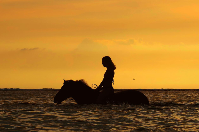 Menorca: Horseback Ride to Cala Fustam Beach and Swim