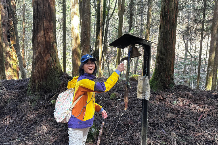 1-Day Tour from Nagoya: Hiking the Historic Nakasendo Trail Hiking the Historic Nakasendo Trail