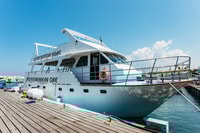 От Пафоса, Основных моментов Акама и День расслабления Голубой лагуны - Housity