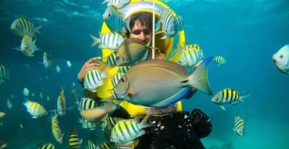 Scuba Doo – Diving Scooters in Punta Cana