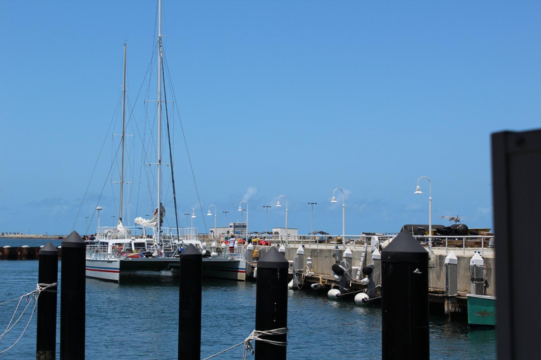 Key West Tour en snorkelen in koraalrif met open bar