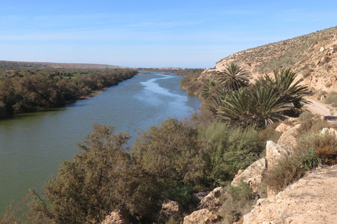 Från Agadir: Öken safari i Sous Massa nationalpark m/lunch